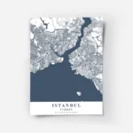 affiche carte istanbul.webp