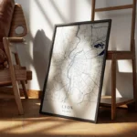 affiche carte lyon encadre.webp