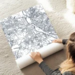 affiche carte new delhi au sol.webp