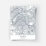affiche carte paris.webp