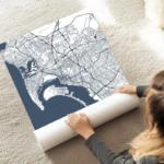 affiche carte san diego au sol.webp