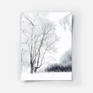 poster arbre enneige.webp