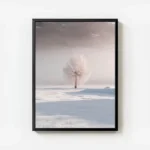 poster arbre isole en hiver avec cadre.webp