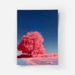 poster arbre rose sous ciel bleu.webp