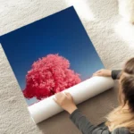 poster arbre rose sous ciel bleu au sol.webp