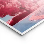 poster arbre rose sous ciel bleu lightpanel.webp