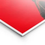 poster batman rouge lightpanel.webp