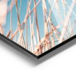 poster ble dore aluminium.webp