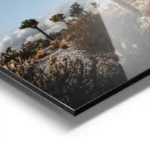poster cactus dans le desert aluminium.webp
