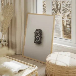 poster camera vintage noir et argent salon beige.webp