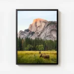 poster cerfs marron montagne avec cadre.webp