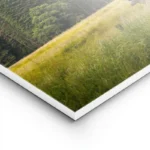 poster cerfs marron montagne lightpanel.webp