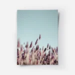 poster champ de lavande violet.webp