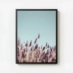 poster champ de lavande violet avec cadre.webp