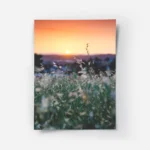poster champs de fleurs blanches.webp