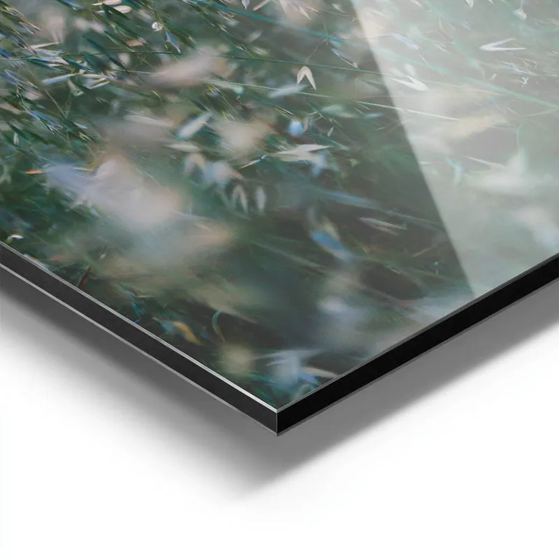 Image galerie 9