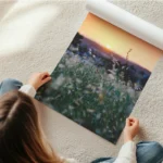 poster champs de fleurs blanches en rouleau.webp