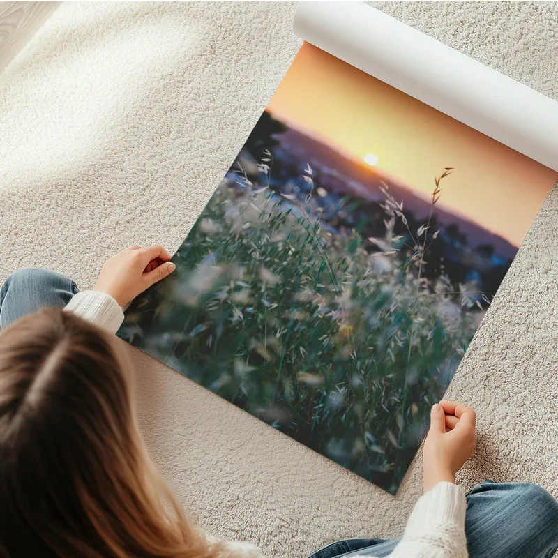 Image galerie 6