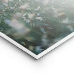 poster champs de fleurs blanches lightpanel.webp