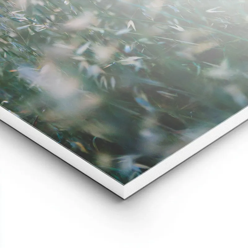 Image galerie 8
