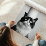 poster chat avec chapeau en papier en rouleau.webp