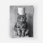 poster chat avec rouleau de papier.webp