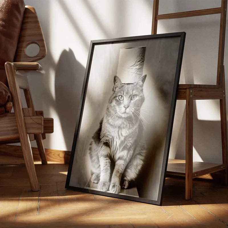 Image galerie 4