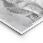poster chat avec rouleau de papier lightpanel.webp