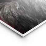 poster chat elegant mode lightpanel.webp