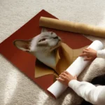 poster chat fashion elegant enroule.webp