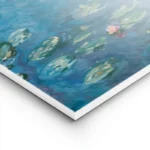 poster chat noir lac lightpanel.webp
