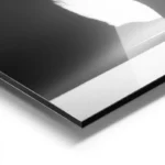 poster chat noir silhouette lion aluminium.webp