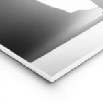 poster chat noir silhouette lion lightpanel.webp