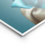 poster chat siamois elegant lightpanel.webp