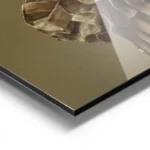 poster chat sphynx aluminium.webp