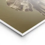 poster chat sphynx lightpanel.webp