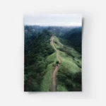 poster chemin d herbe verdoyante.webp