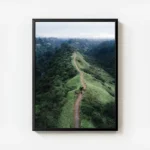 poster chemin d herbe verdoyante avec cadre.webp