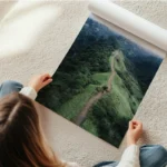 poster chemin d herbe verdoyante en rouleau.webp