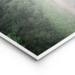 poster chemin d herbe verdoyante lightpanel.webp