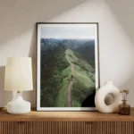 poster chemin d herbe verdoyante meuble.webp