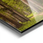 poster chemin de foret aluminium.webp