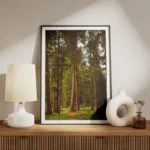 poster chemin de foret meuble.webp