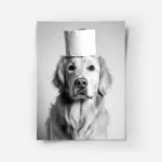 poster chien avec rouleau de papier toilette.webp