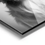 poster chien avec rouleau de papier toilette aluminium.webp