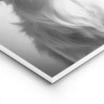 poster chien avec rouleau de papier toilette lightpanel.webp