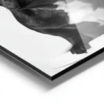poster chien francais drole aluminium.webp