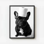 poster chien francais drole avec cadre.webp