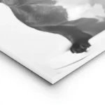 poster chien francais drole lightpanel.webp