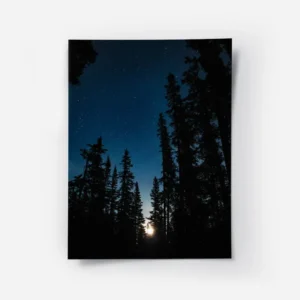 poster ciel etoile sous les arbres.webp